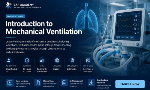 Introduction to Mechanical Ventilation