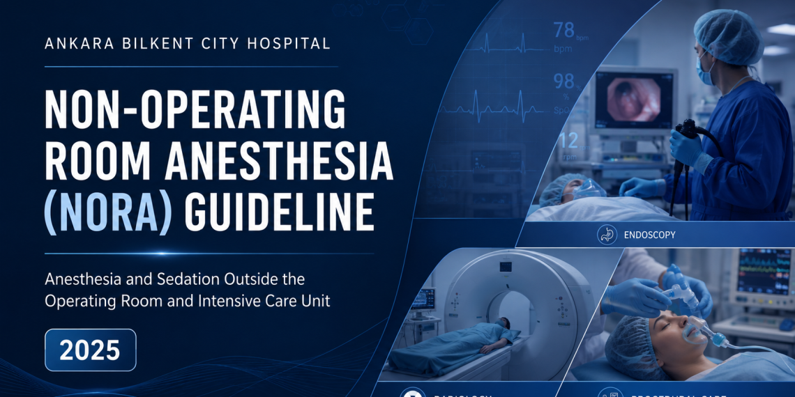 Ankara Bilkent City Hospital Non-Operating Room Anesthesia (NORA) Guideline