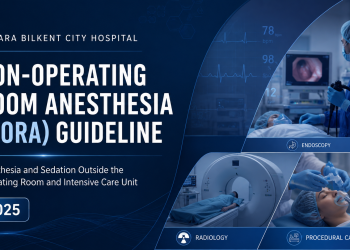 Ankara Bilkent City Hospital Non-Operating Room Anesthesia (NORA) Guideline