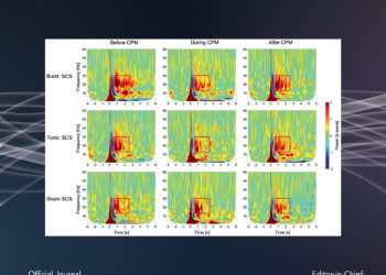 Neuromodulation: Technology at the Neural Interface